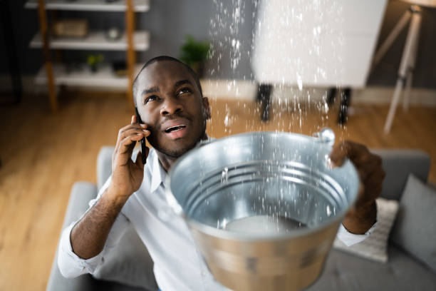 Best Basement water damage restoration  in West Bradenton, FL