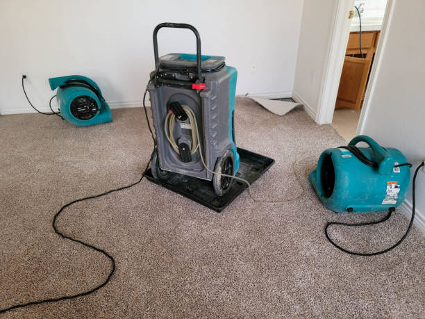 Best Flood restoration services  in West Bradenton, FL