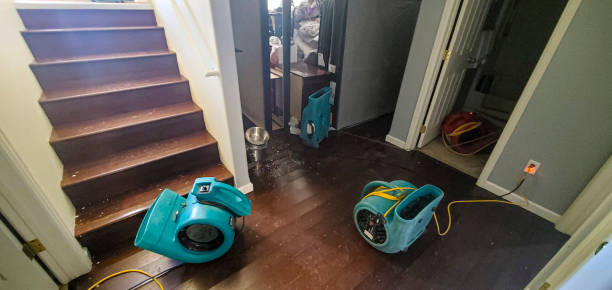 Best Residential water damage restoration  in West Bradenton, FL
