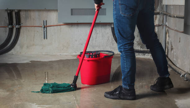 Best Emergency water damage restoration  in West Bradenton, FL