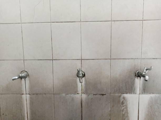 Sewage cleanup and water damage restoration in FL