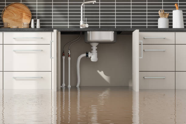 Best Water damage cleanup near me  in West Bradenton, FL