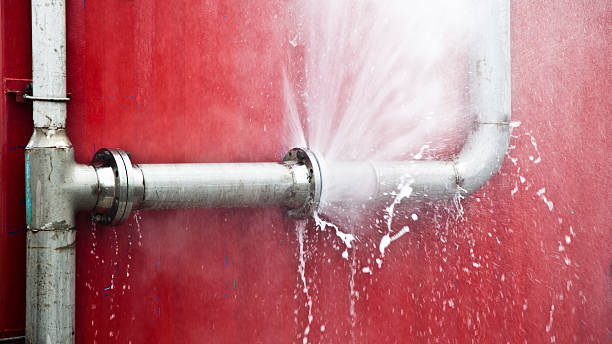 Best 24-hour water damage restoration  in West Bradenton, FL